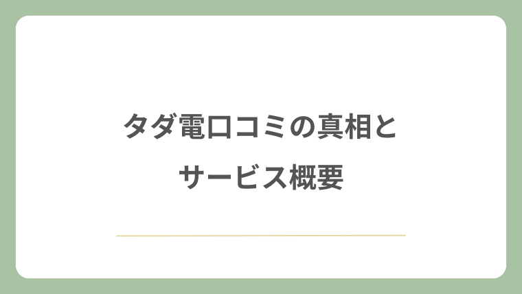 タダ電口コミの真相とサービス概要