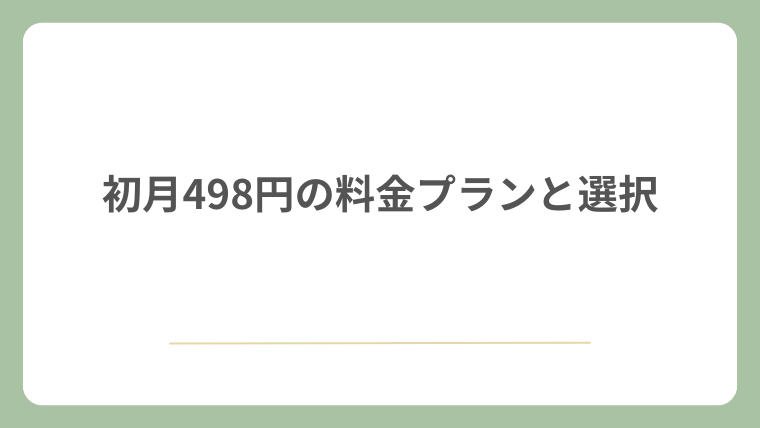 初月498円の料金プランと選択
